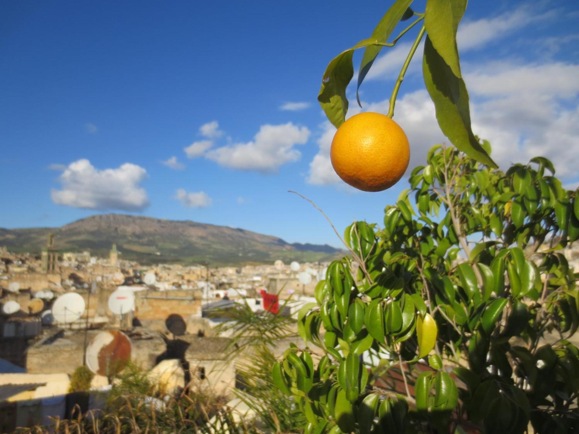 Dar Lalla Kenza Fès Exterior foto